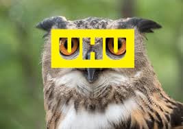 Glue Review UHU Eagle Owl