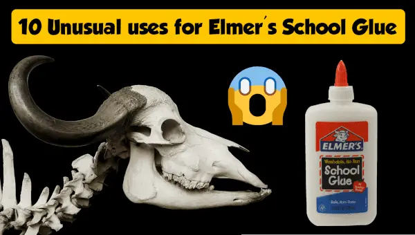 Unusual uses for Elmer's glue