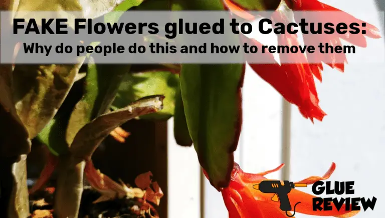 Fake Flowers Cactuses Remove