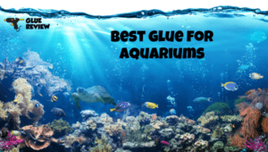 best glue for aquariums